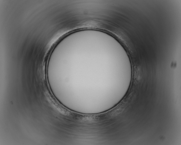 X0000111531078200907281357