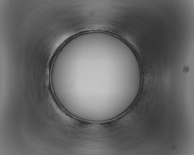 X0000111531079200907281357