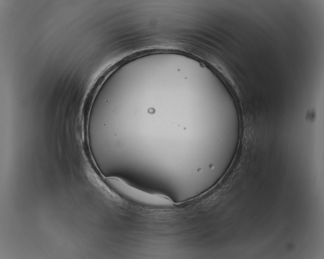 X0000111531080200907281357