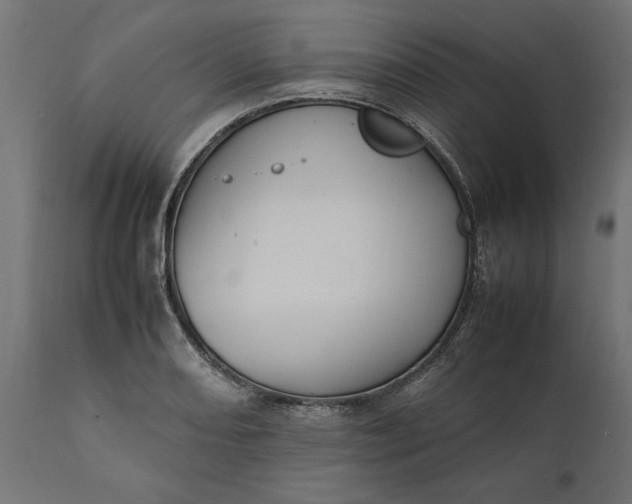 X0000111531082200907281357