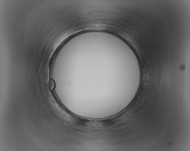 X0000111531083200907281357