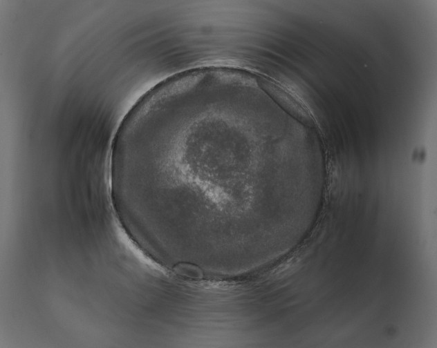 X0000111531084200907281357