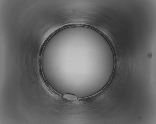 X0000111531085200907281357