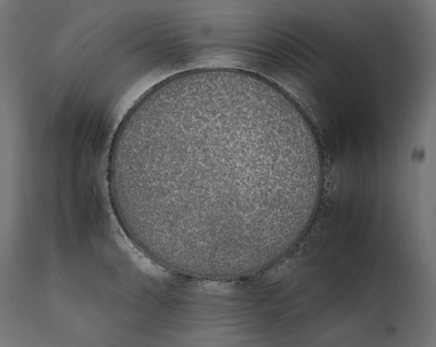 X0000111531086200907281357