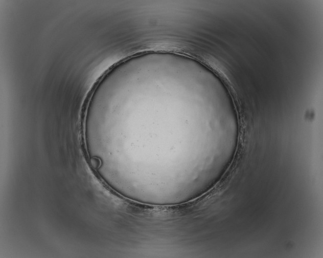 X0000111531087200907281357