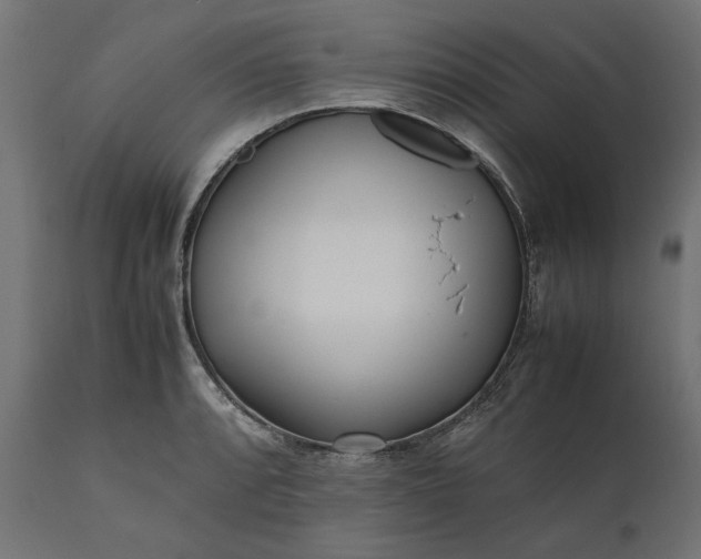 X0000111531088200907281357