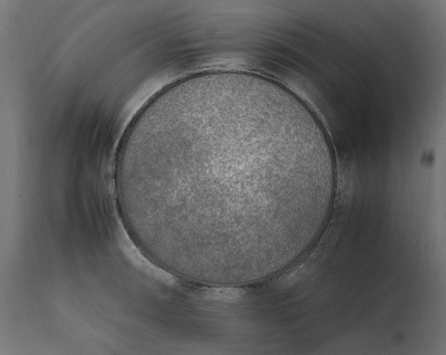 X0000111531090200907281357