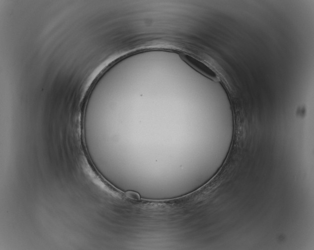 X0000111531092200907281357