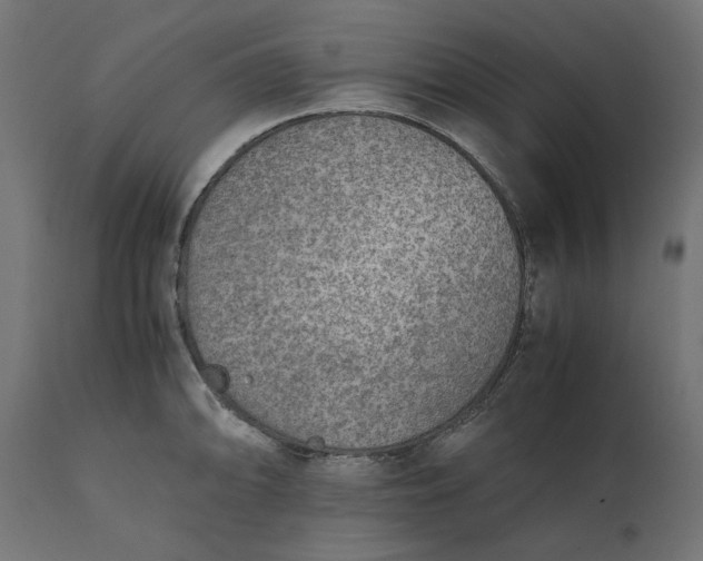 X0000111531094200907281357