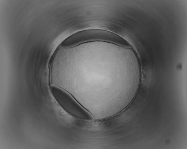 X0000111531096200907281357