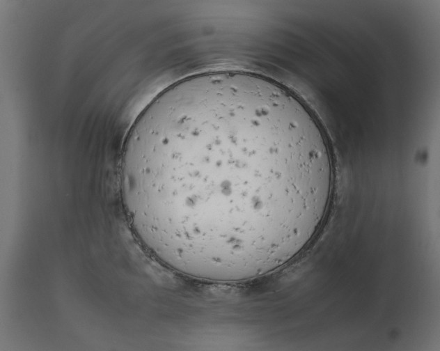 X0000111531097200907281357