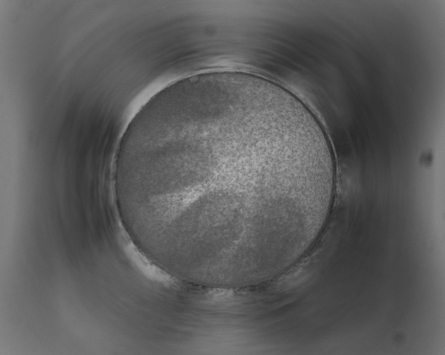 X0000111531098200907281357