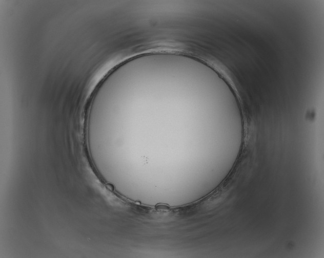 X0000111531099200907281357