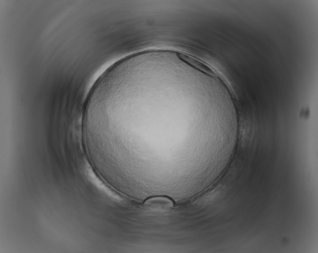 X0000111531100200907281357