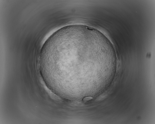 X0000111531101200907281357