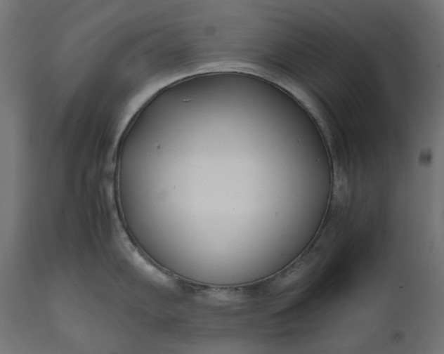 X0000111531102200907281357