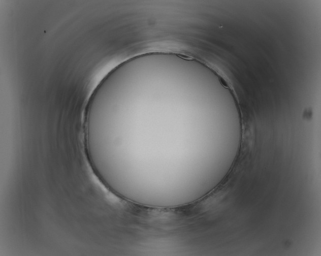 X0000111531103200907281357