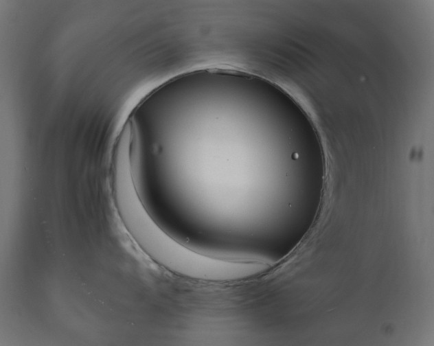 X0000111531104200907281357