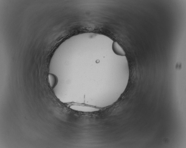 X0000111531105200907281356