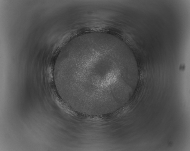 X0000111531106200907281356