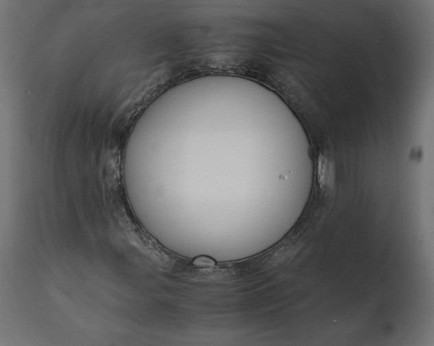 X0000111531107200907281356