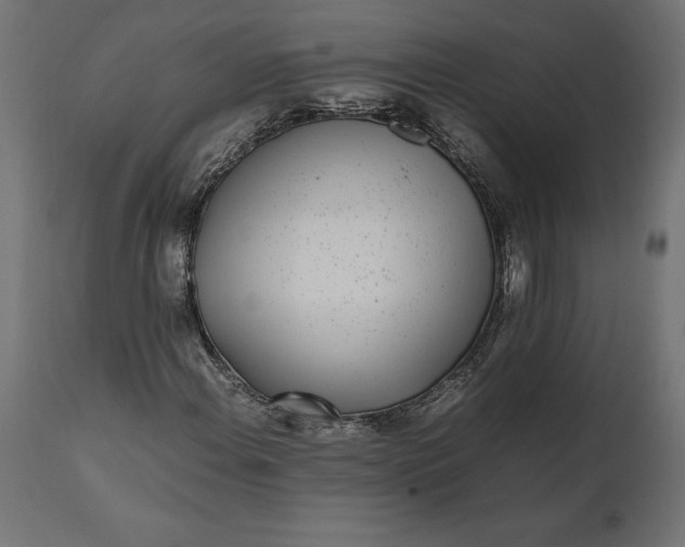 X0000111531108200907281356