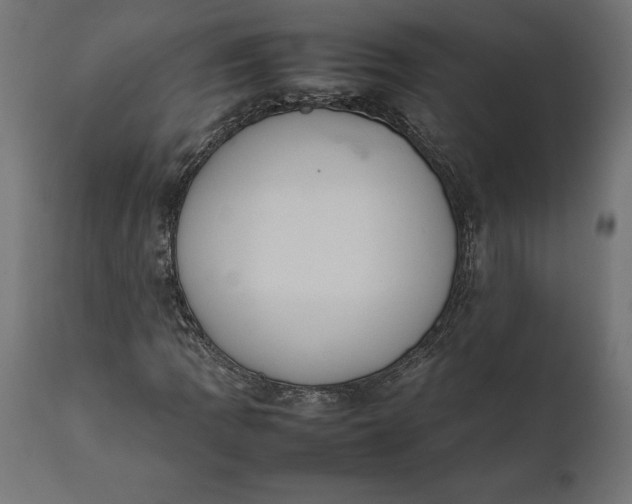 X0000111531109200907281356