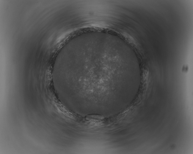 X0000111531110200907281356