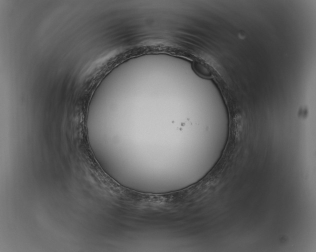 X0000111531111200907281356