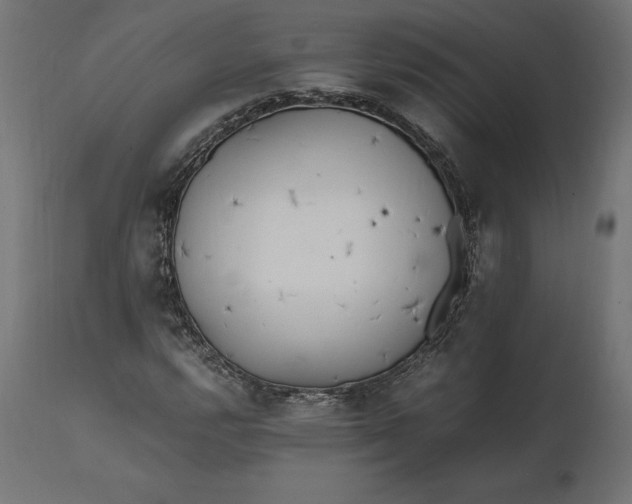 X0000111531112200907281356