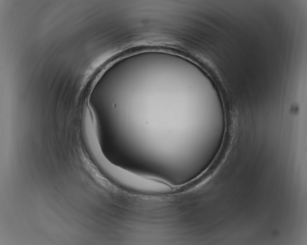 X0000111531114200907281356