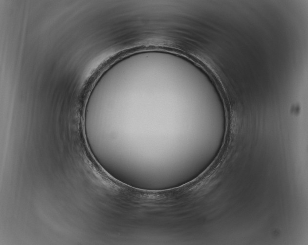 X0000111531115200907281356