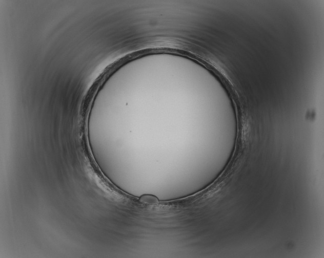 X0000111531116200907281356