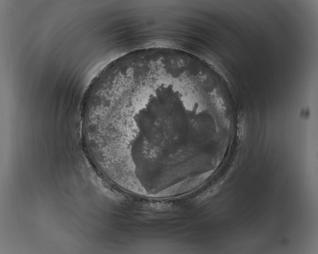 X0000111531117200907281356