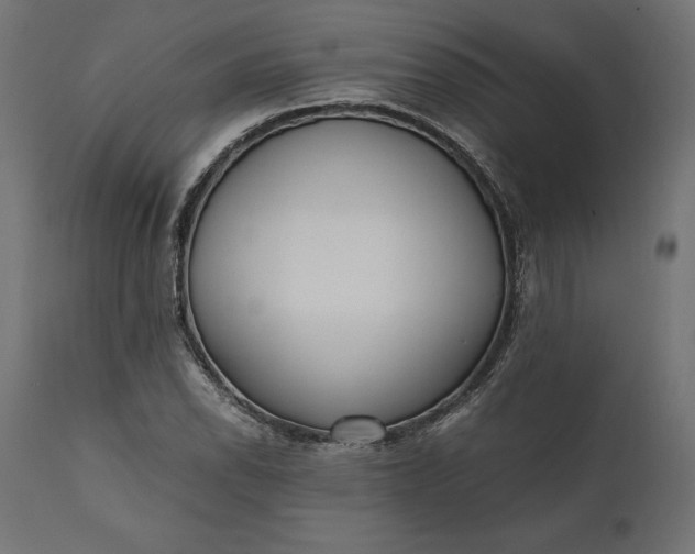 X0000111531118200907281356