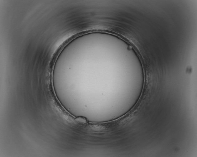 X0000111531119200907281356