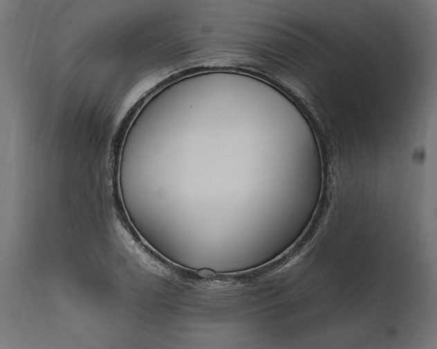 X0000111531122200907281356