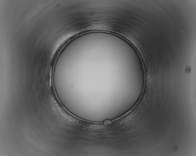 X0000111531123200907281356