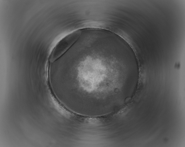 X0000111531128200907281356