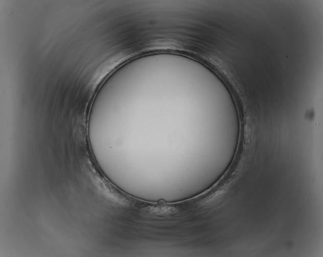 X0000111531129200907281356