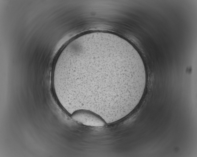 X0000111531130200907281356