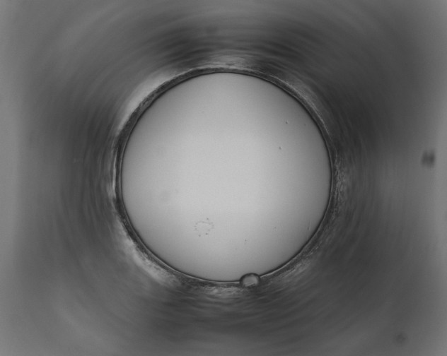 X0000111531131200907281356