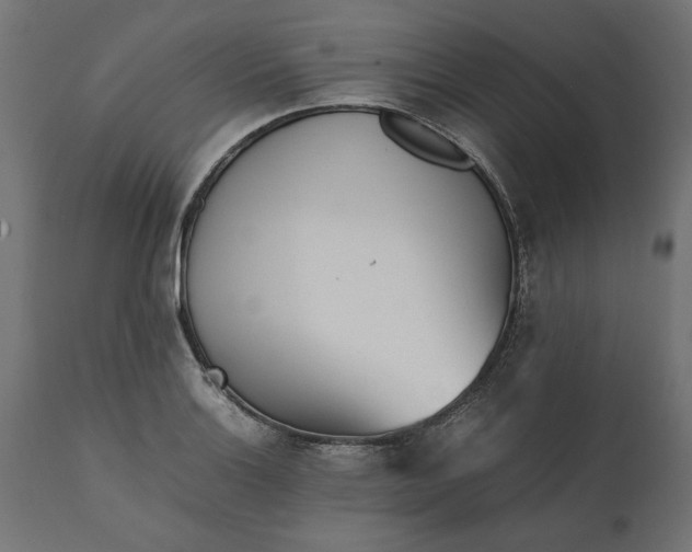 X0000111531132200907281356