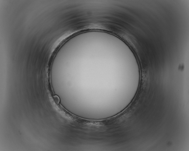 X0000111531133200907281356