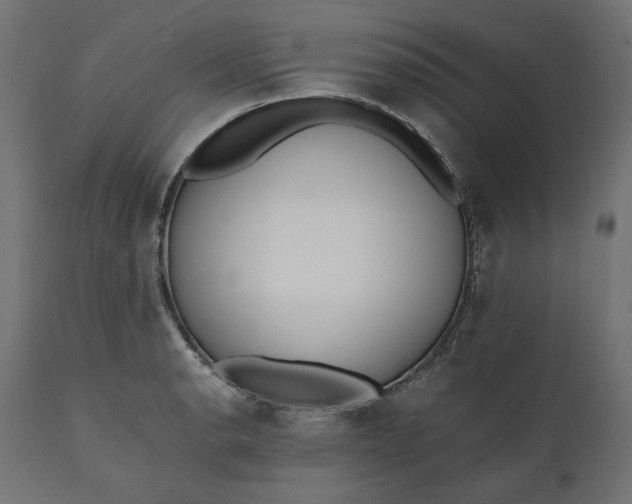 X0000111531134200907281356