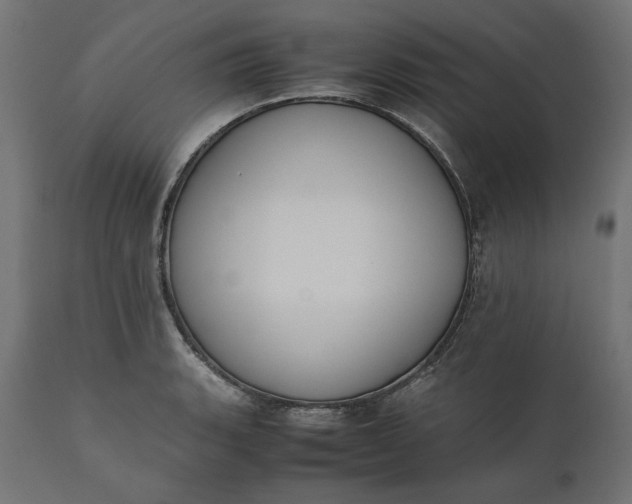 X0000111531135200907281356