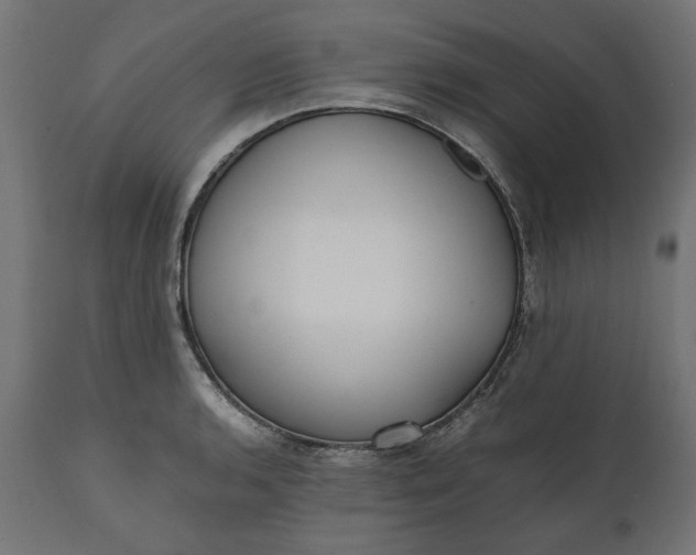 X0000111531136200907281356