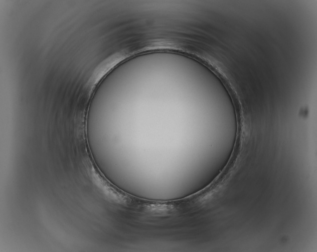 X0000111531137200907281356