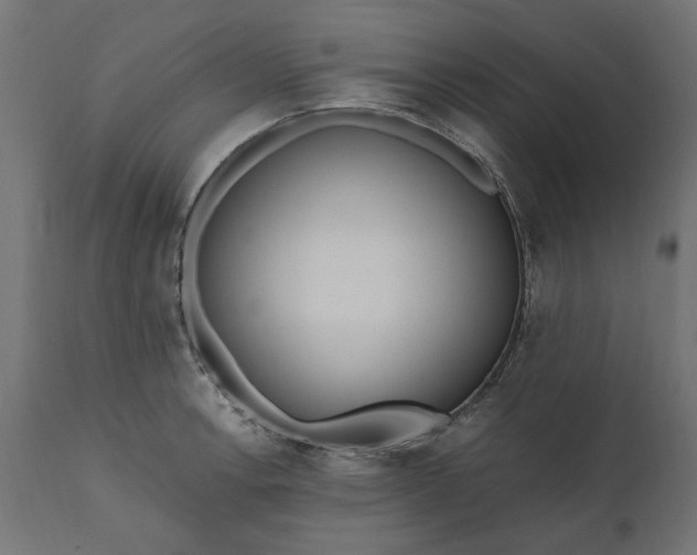 X0000111531138200907281356