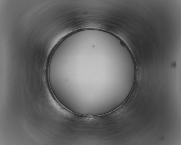 X0000111531139200907281356